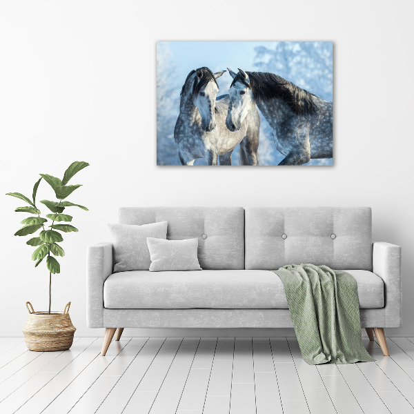 Canvas print Gray horses in winter