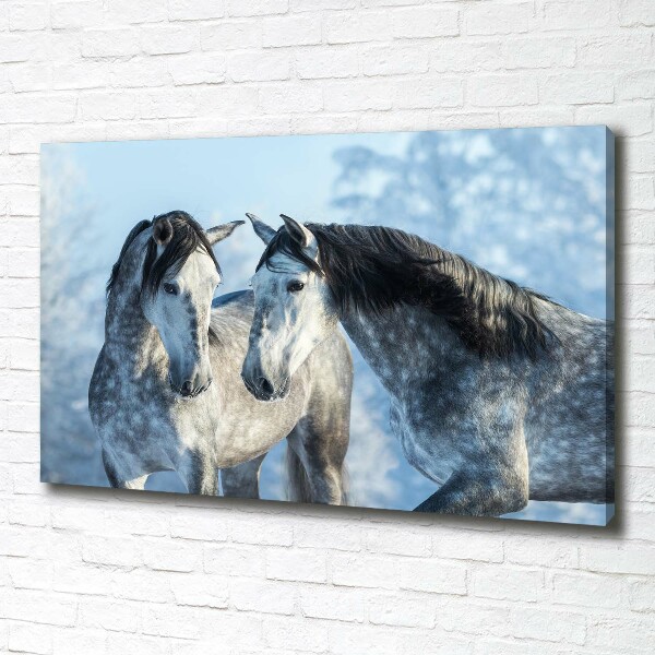 Canvas print Gray horses in winter