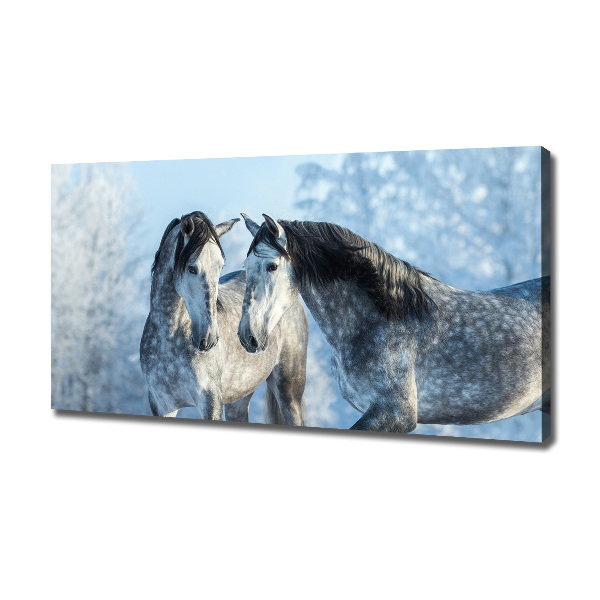 Canvas print Gray horses in winter