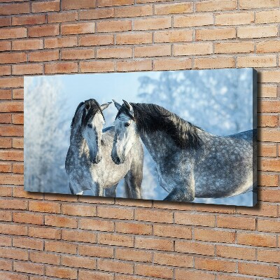 Canvas print Gray horses in winter