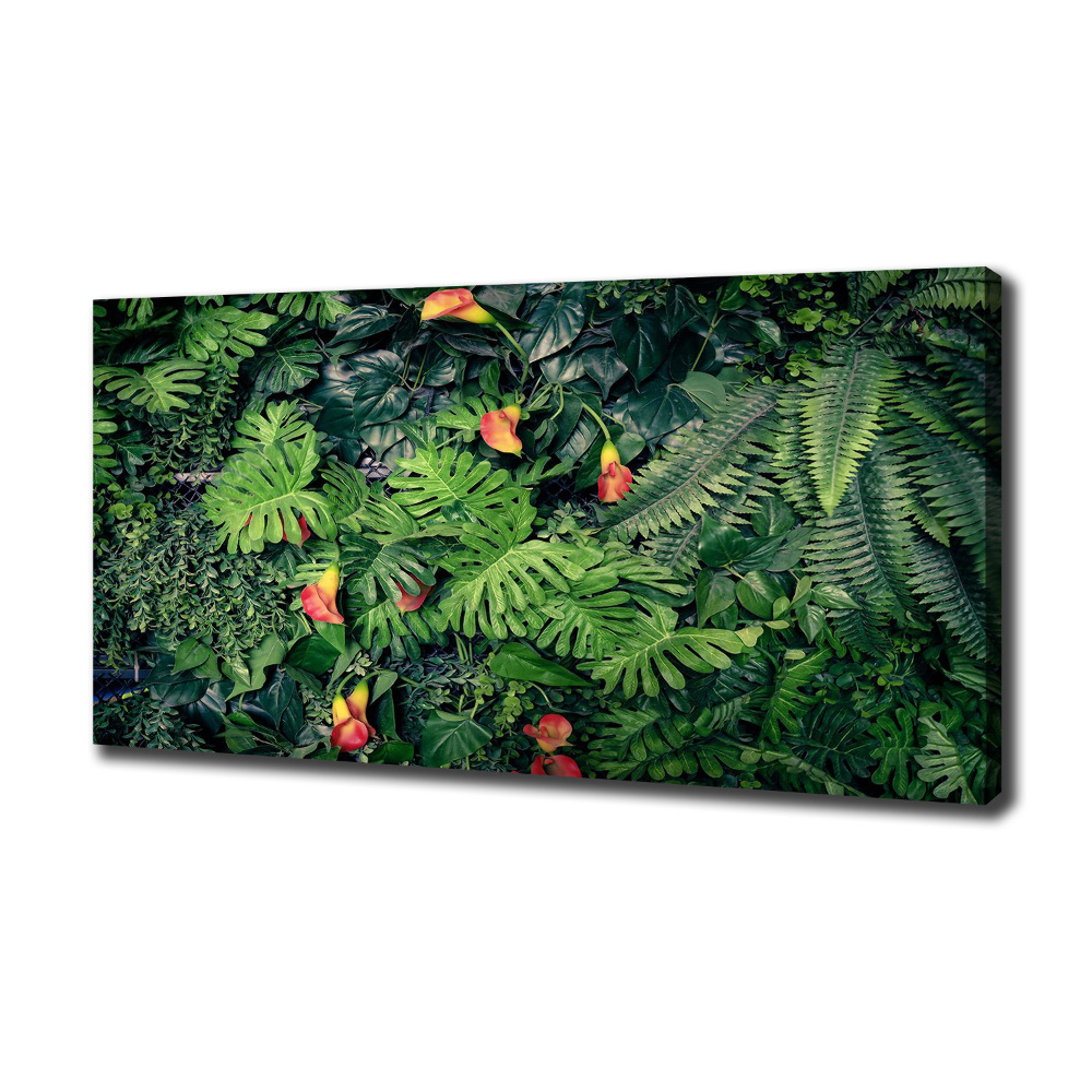 Canvas wall art Exotic jungle