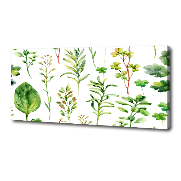 Canvas wall art Herbs and weeds