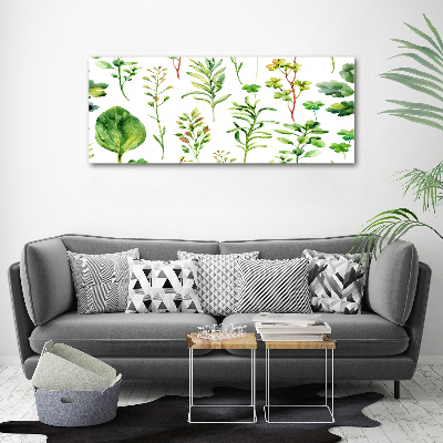 Canvas wall art Herbs and weeds