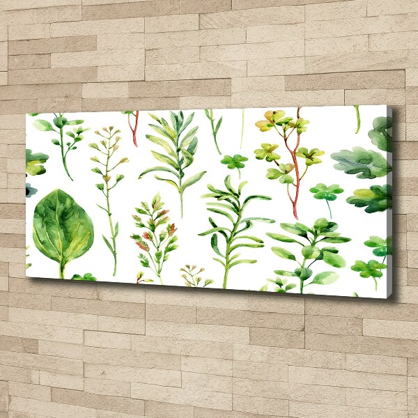 Canvas wall art Herbs and weeds