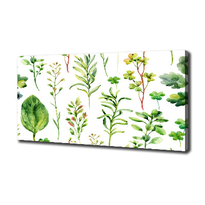 Canvas wall art Herbs and weeds