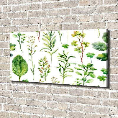 Canvas wall art Herbs and weeds