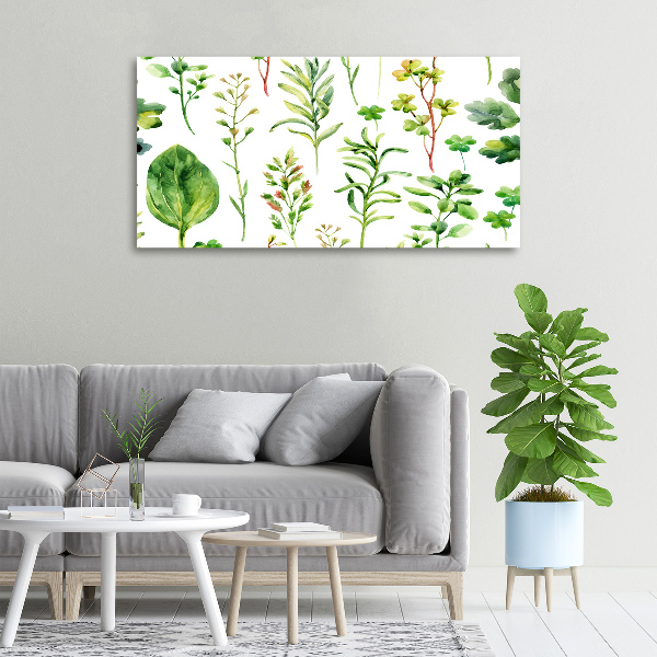 Canvas wall art Herbs and weeds