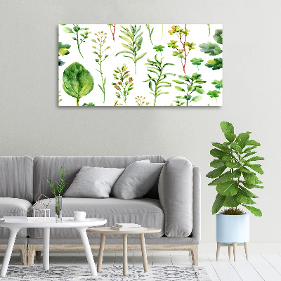 Canvas wall art Herbs and weeds