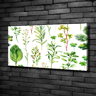 Canvas wall art Herbs and weeds