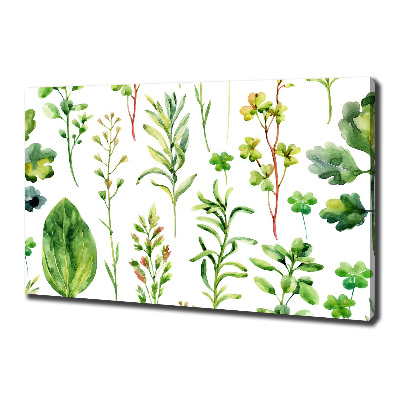 Canvas wall art Herbs and weeds