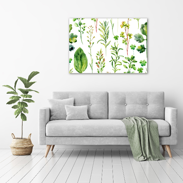 Canvas wall art Herbs and weeds