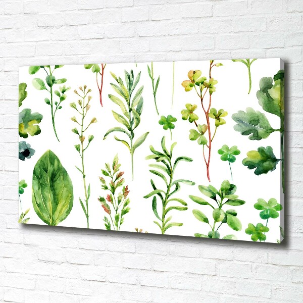 Canvas wall art Herbs and weeds