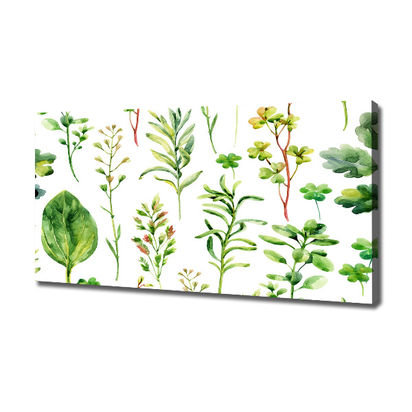 Canvas wall art Herbs and weeds