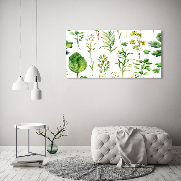 Canvas wall art Herbs and weeds