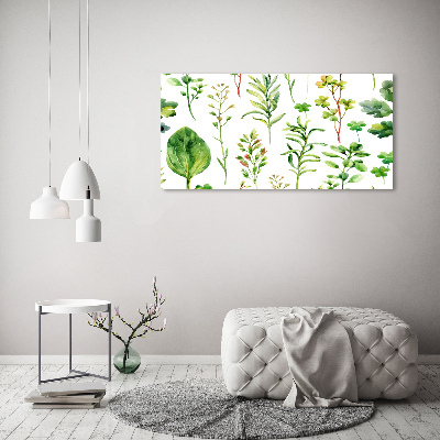 Canvas wall art Herbs and weeds