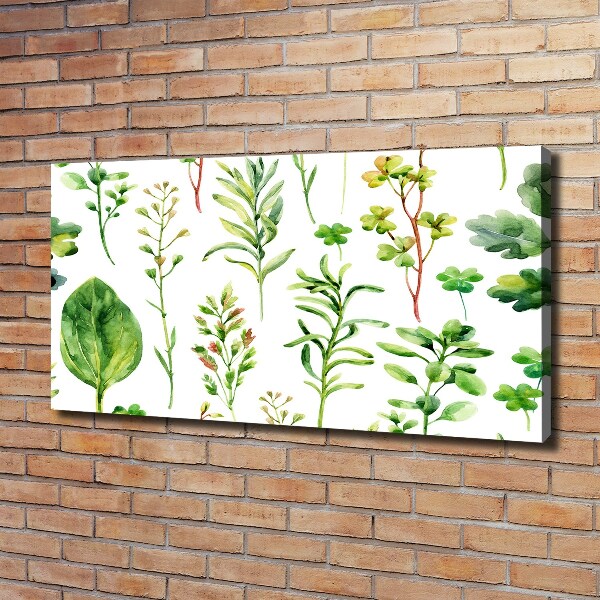 Canvas wall art Herbs and weeds