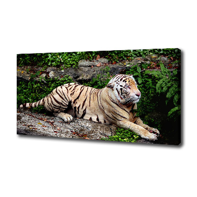 Large canvas wall art Tiger on the rock