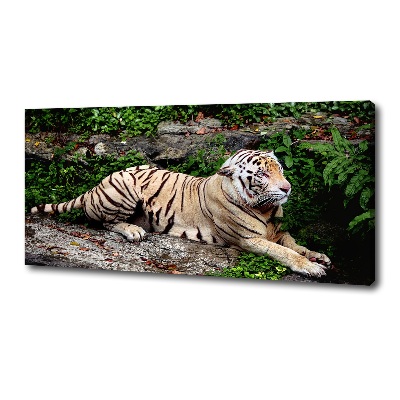 Large canvas wall art Tiger on the rock