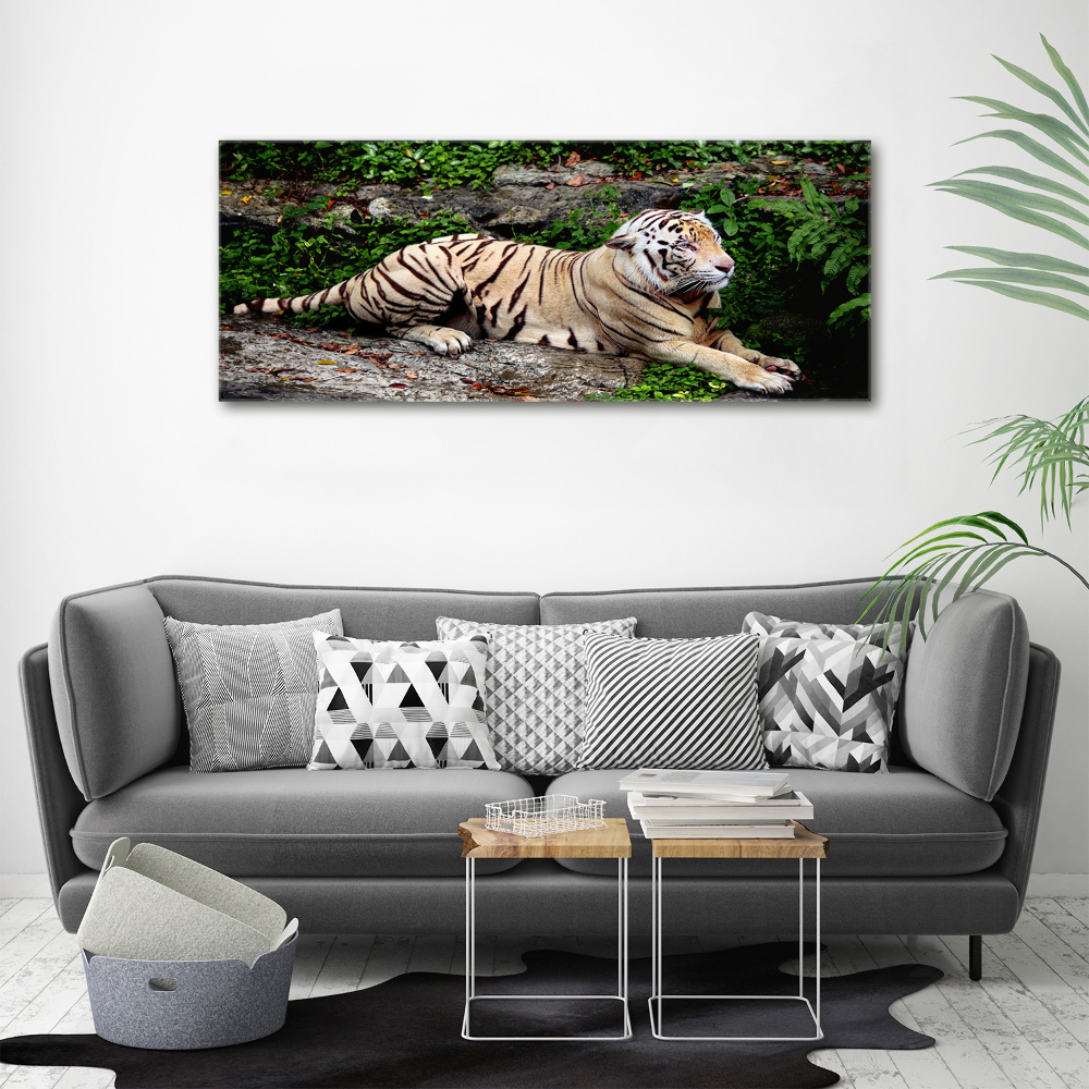 Large canvas wall art Tiger on the rock