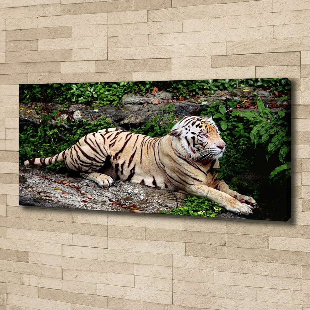 Large canvas wall art Tiger on the rock