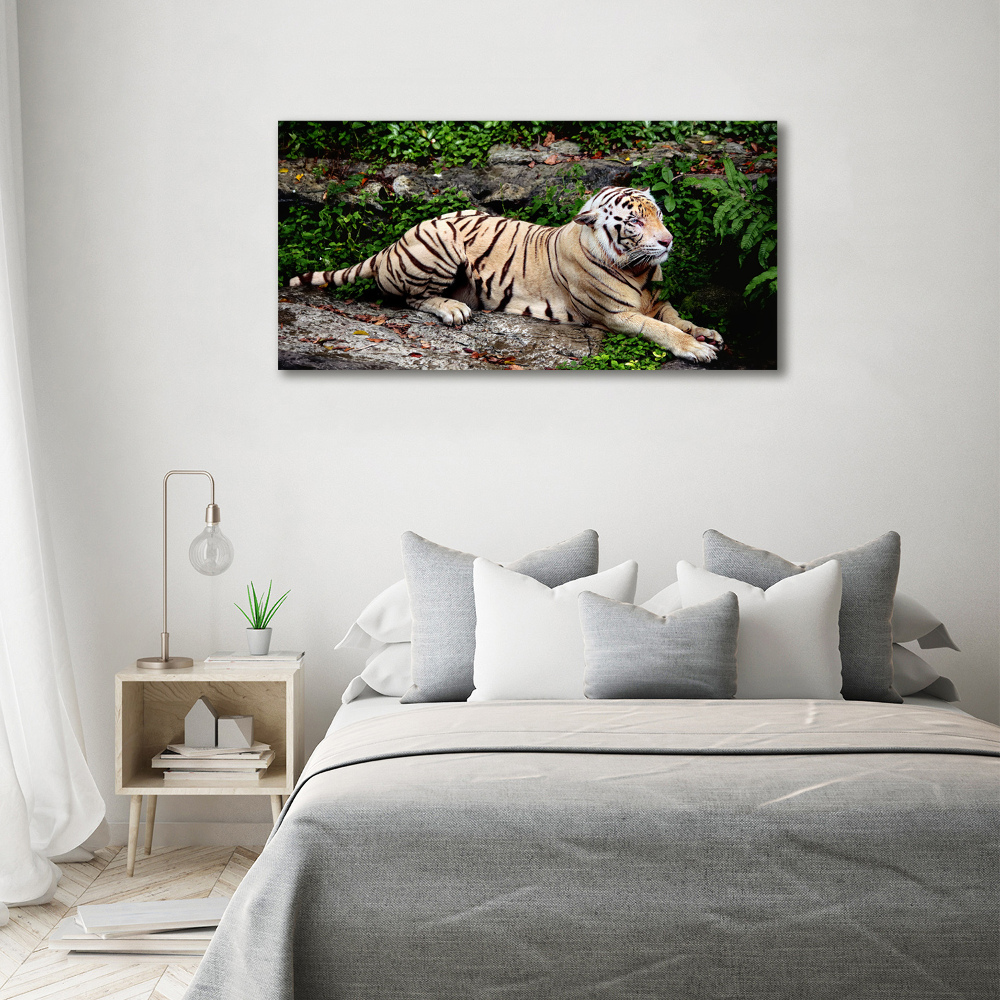 Large canvas wall art Tiger on the rock