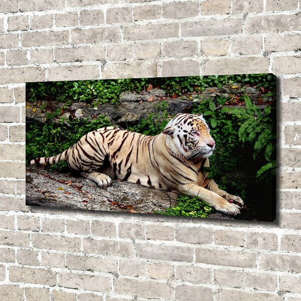 Large canvas wall art Tiger on the rock