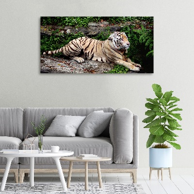 Large canvas wall art Tiger on the rock