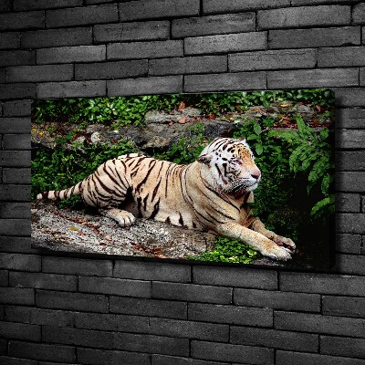 Large canvas wall art Tiger on the rock