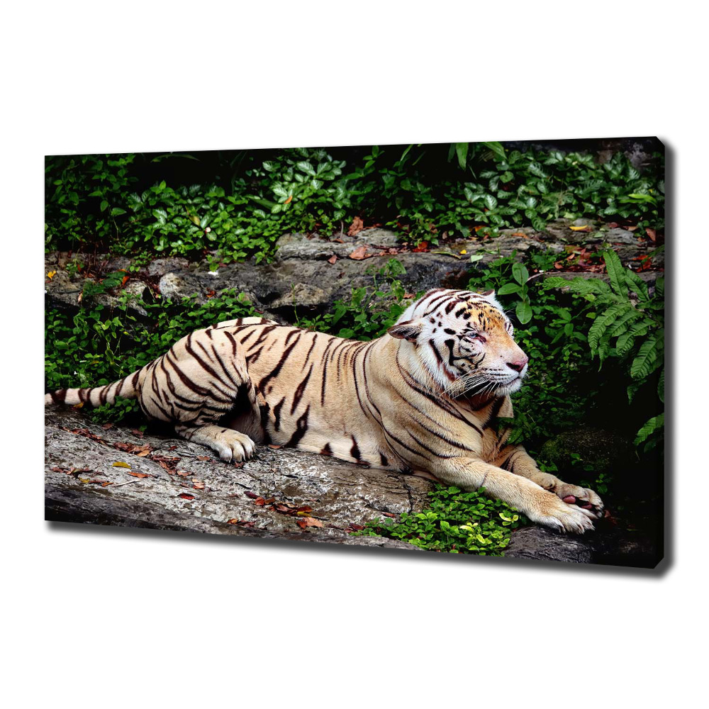 Large canvas wall art Tiger on the rock