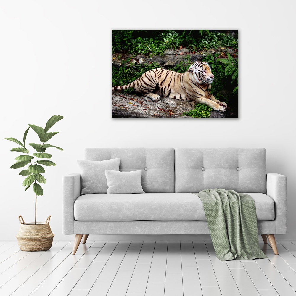 Large canvas wall art Tiger on the rock