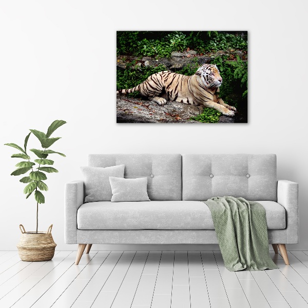 Large canvas wall art Tiger on the rock