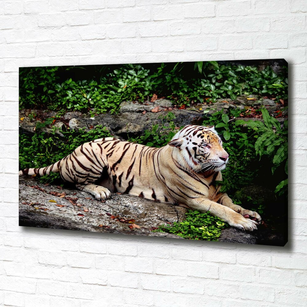 Large canvas wall art Tiger on the rock