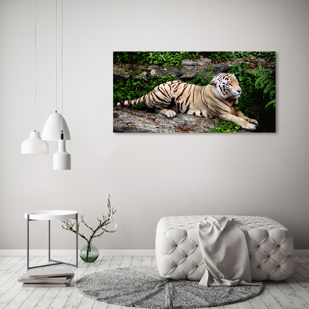 Large canvas wall art Tiger on the rock