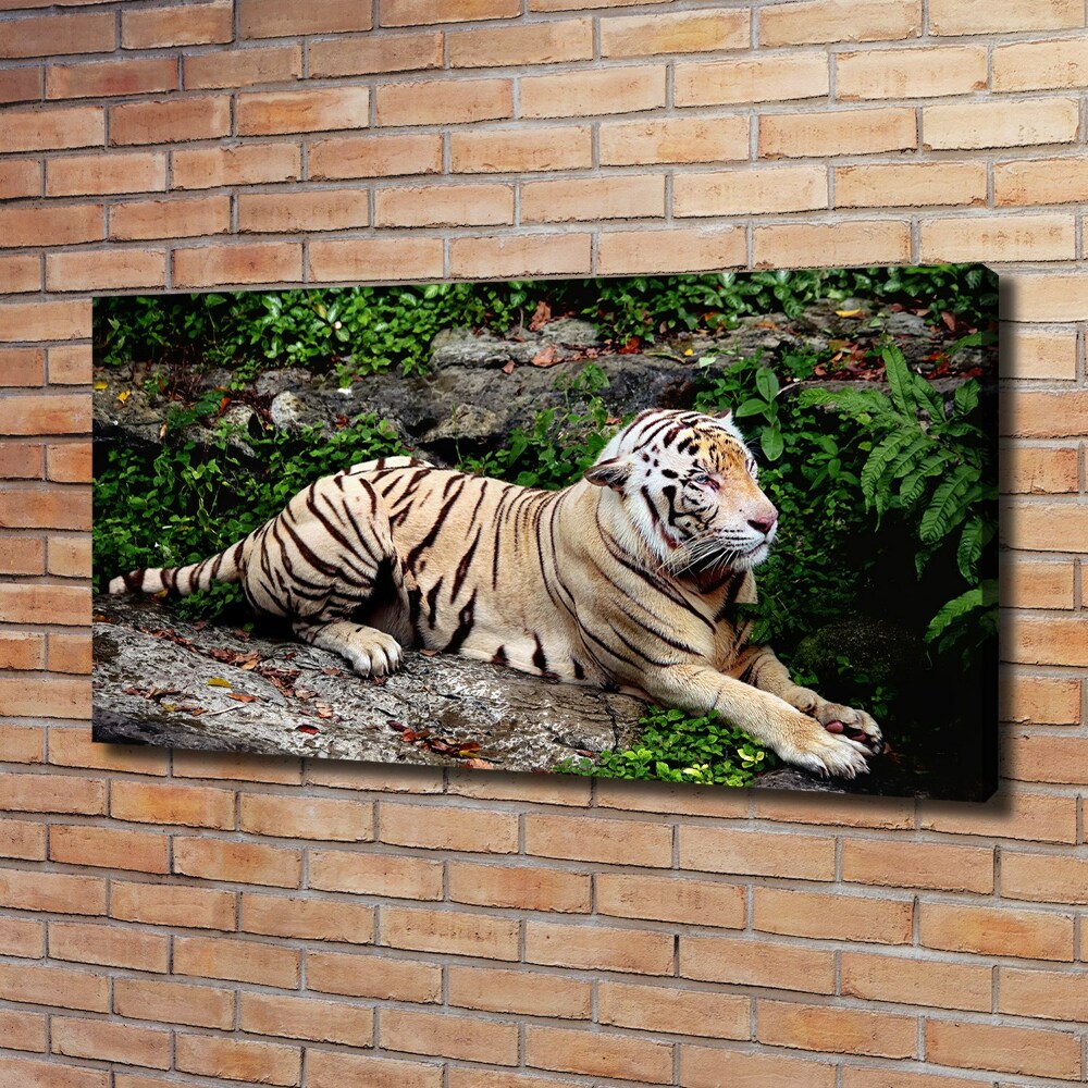 Large canvas wall art Tiger on the rock