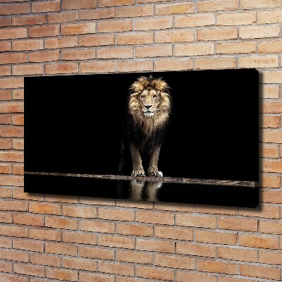 Large canvas wall art Portrait of a lion