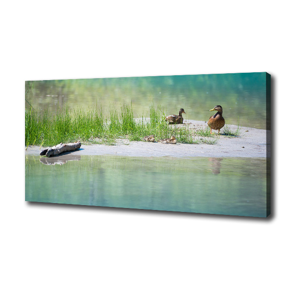 Large canvas wall art Ducks by the water