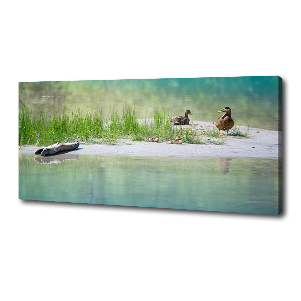 Large canvas wall art Ducks by the water