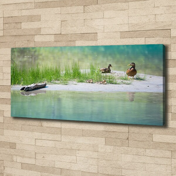 Large canvas wall art Ducks by the water