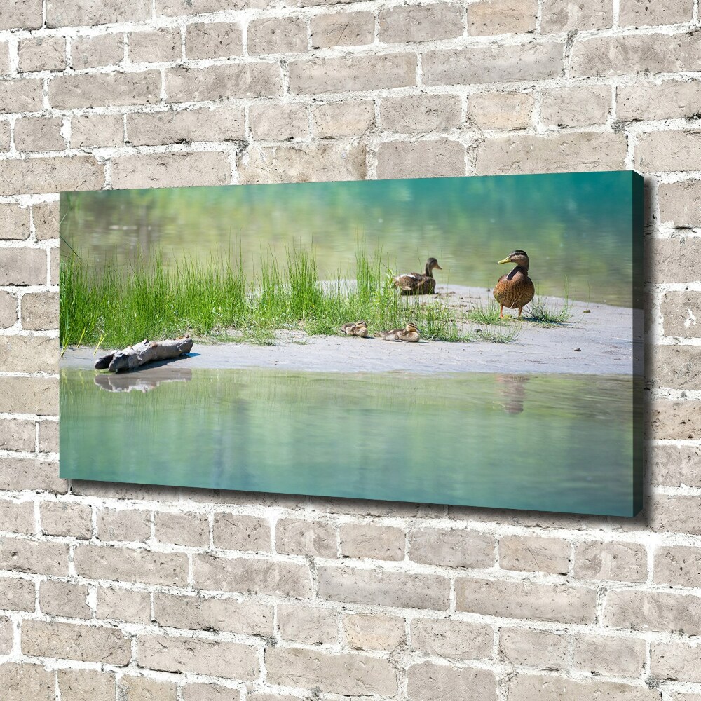 Large canvas wall art Ducks by the water