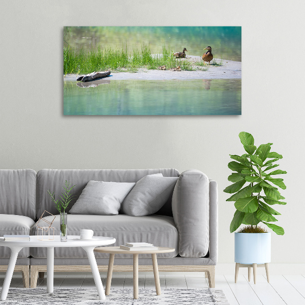 Large canvas wall art Ducks by the water