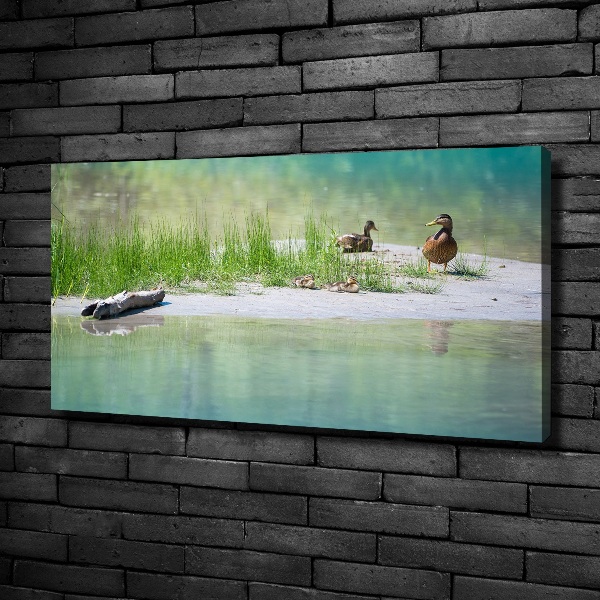 Large canvas wall art Ducks by the water