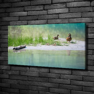 Large canvas wall art Ducks by the water