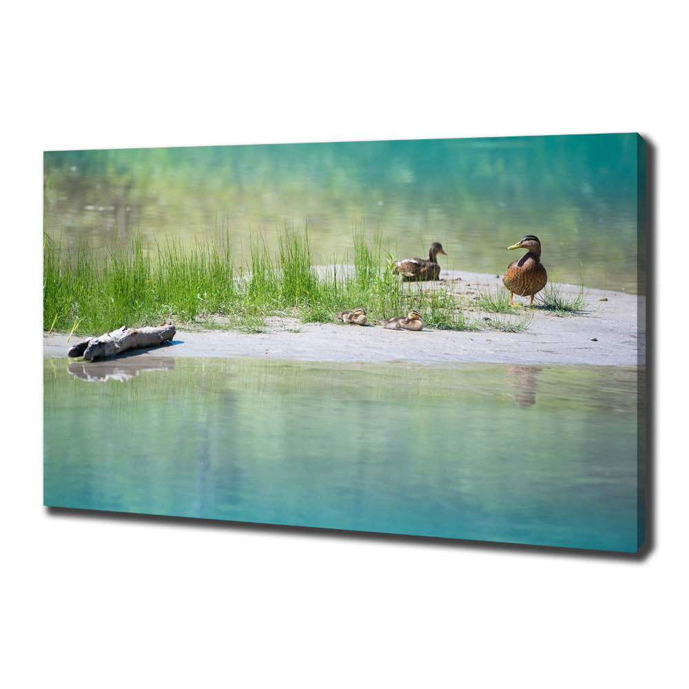 Large canvas wall art Ducks by the water