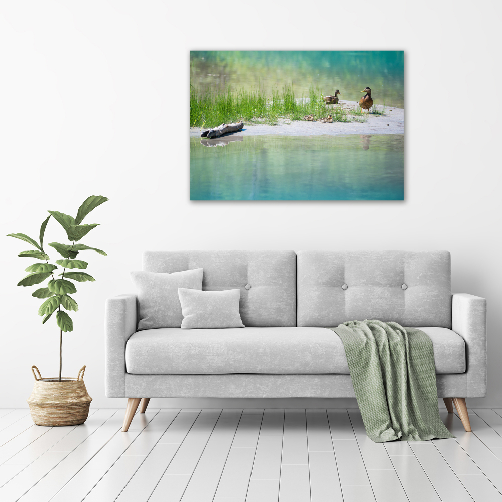 Large canvas wall art Ducks by the water