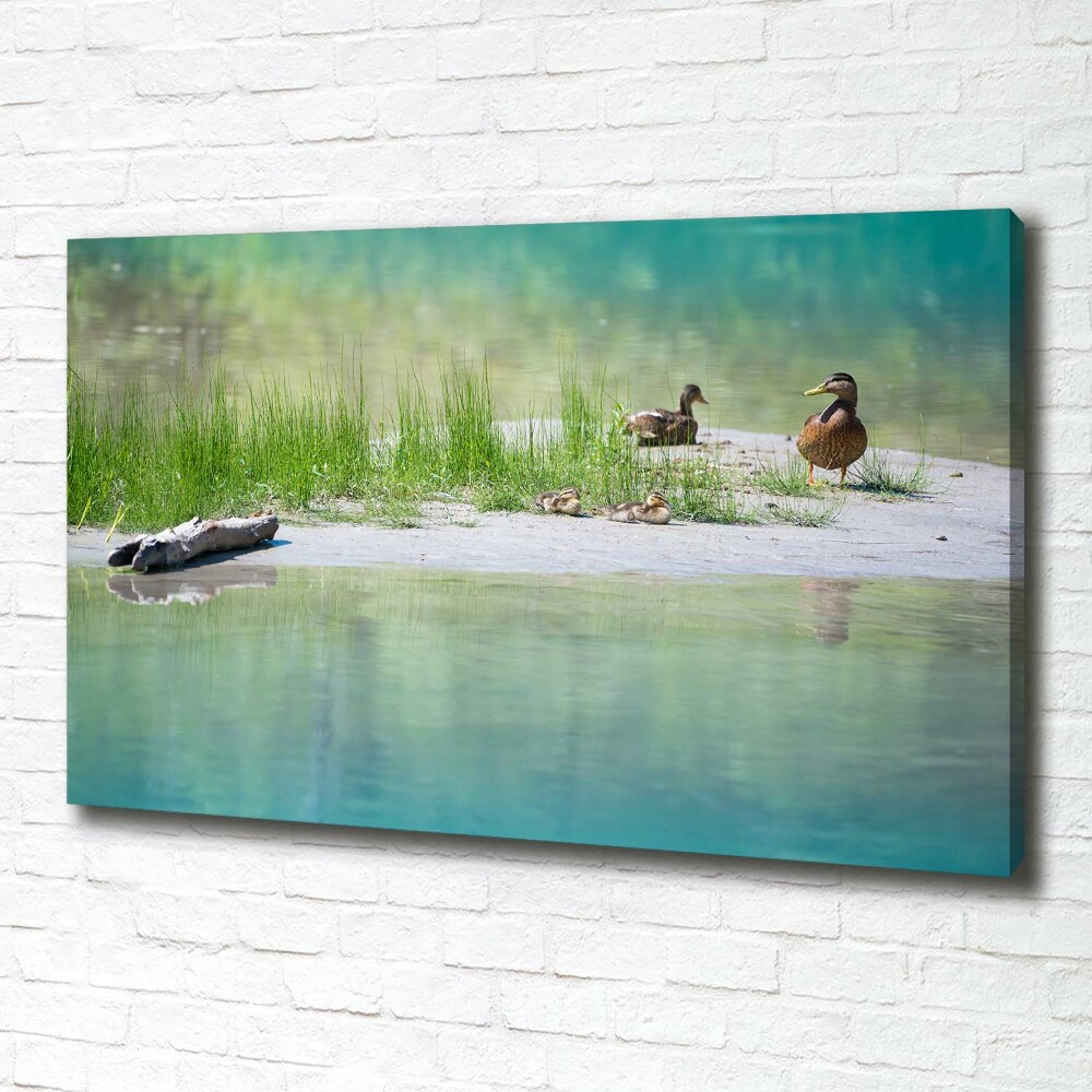 Large canvas wall art Ducks by the water