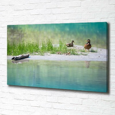 Large canvas wall art Ducks by the water