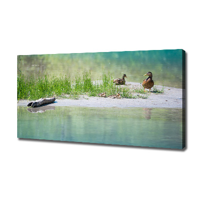 Large canvas wall art Ducks by the water