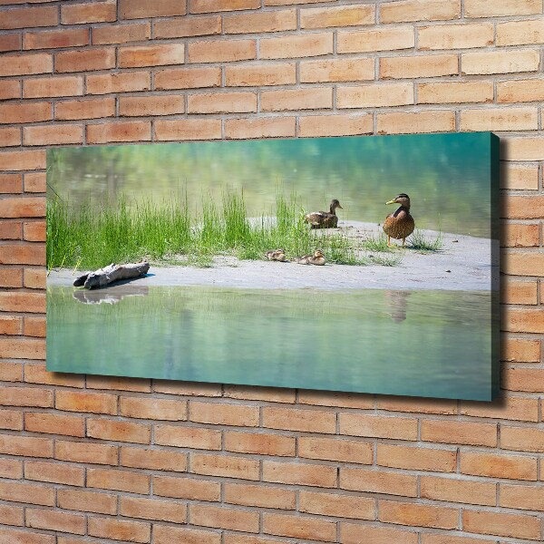 Large canvas wall art Ducks by the water