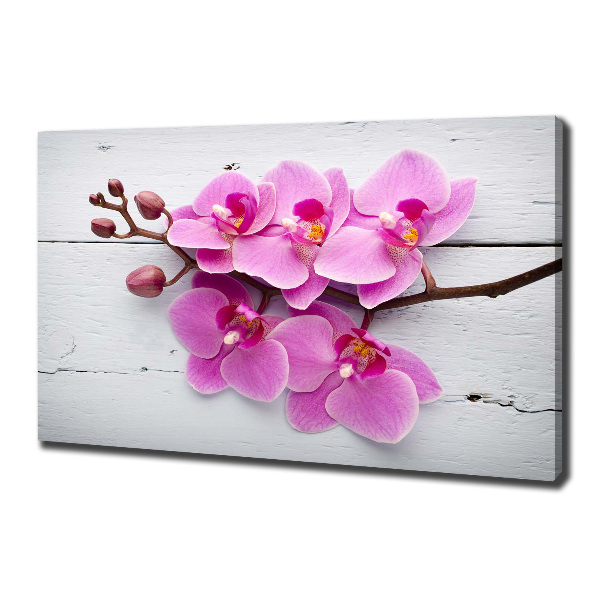 Canvas wall art Orchid on wood