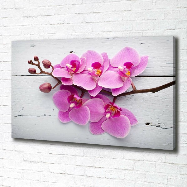 Canvas wall art Orchid on wood